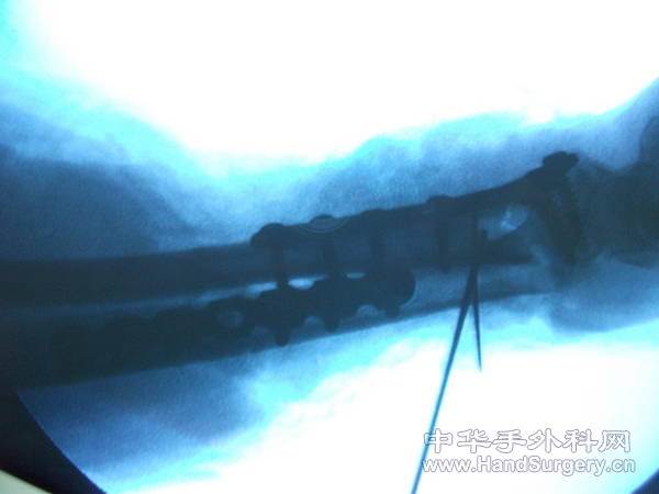 照片 067.jpg