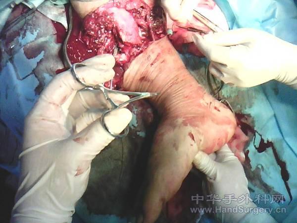 http_imgload[40].jpg