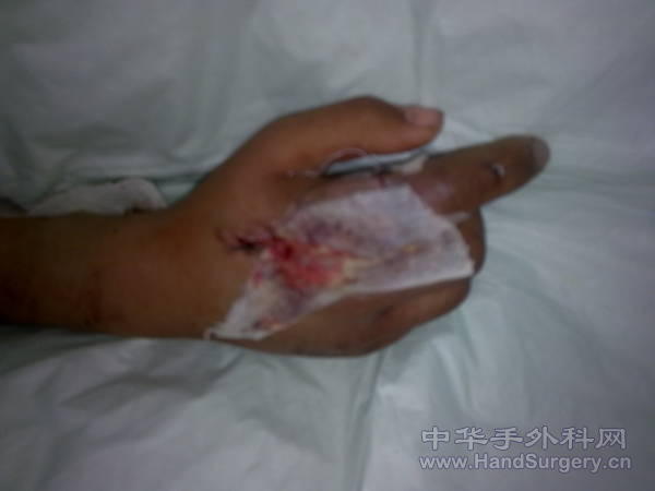 20110222089.jpg