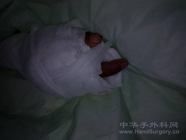 20110222092.jpg