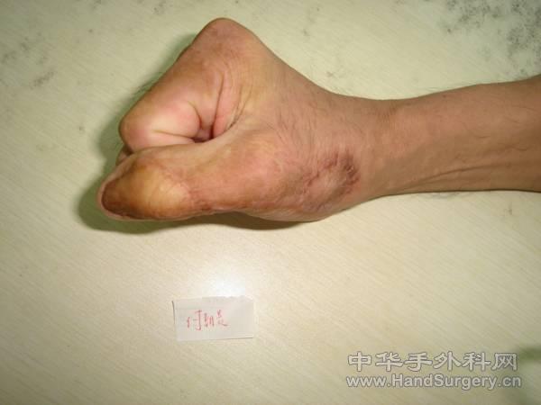8.gif