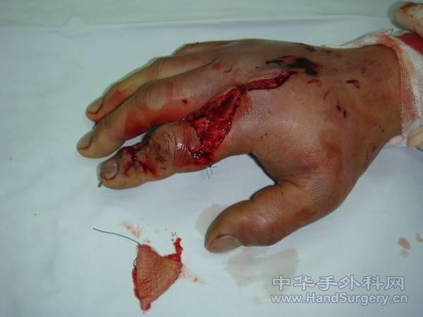 图片8.jpg