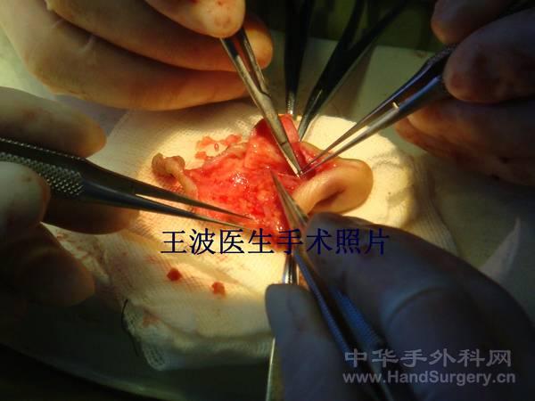 DSC05302_副本.jpg
