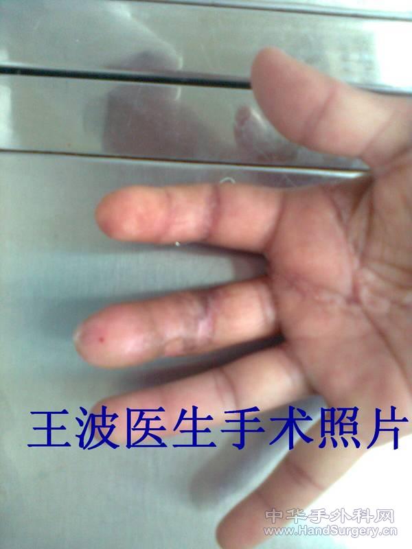 图像0026_副本.jpg