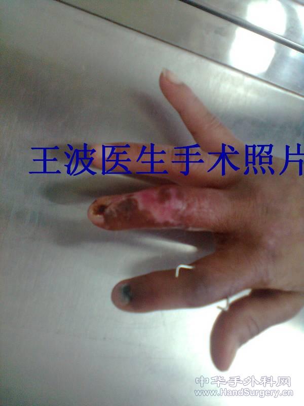 图像0027_副本.jpg