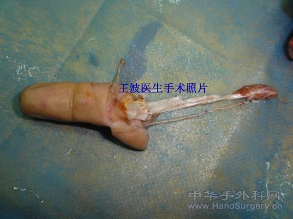 DSC08102_副本.jpg