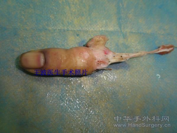 DSC08103_副本.jpg