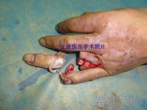 DSC08105_副本.jpg