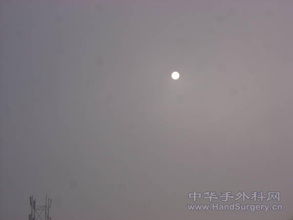 DSC05459.JPG
