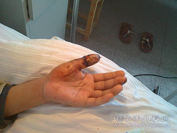 IMG0126084300.jpg