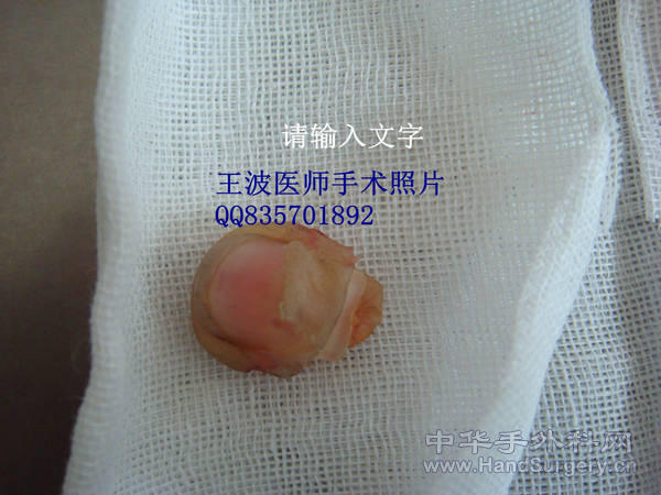 DSC04732_副本.jpg