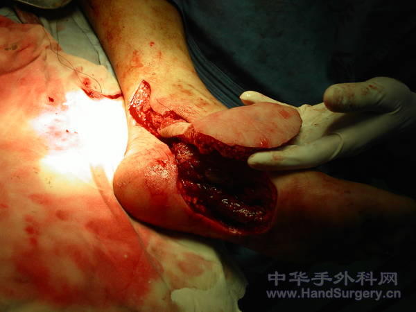 PICT0004.JPG