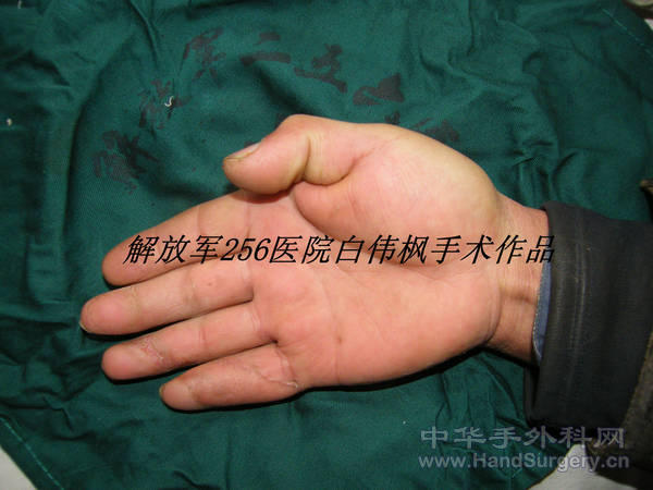 DSCF0337_副本.JPG