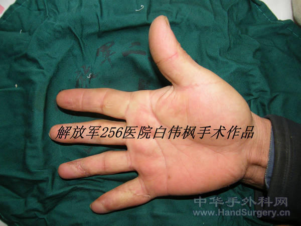 DSCF0339_副本.JPG