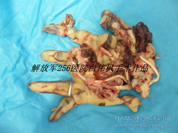 DSCF9922_副本.JPG