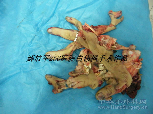 DSCF9924_副本.JPG