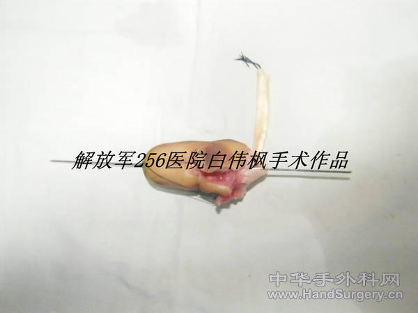DSCF9934_副本.JPG