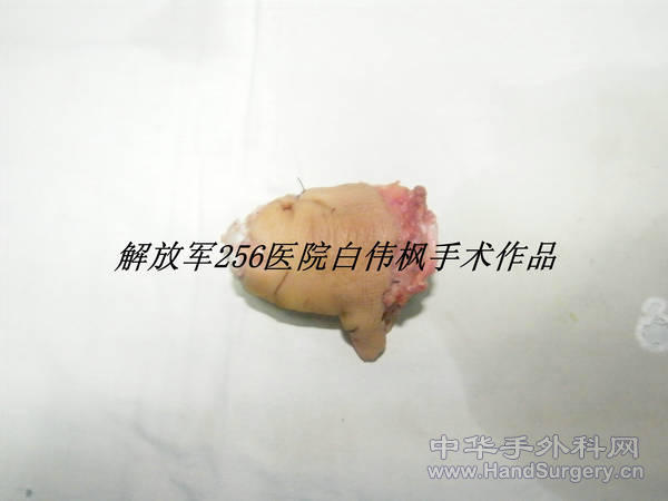 DSCF9936_副本.JPG