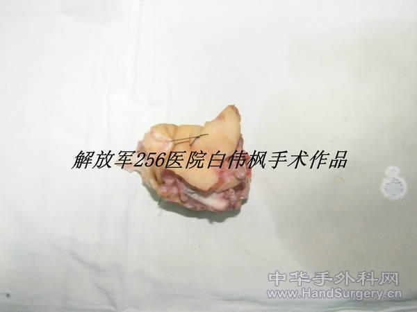 DSCF9937_副本.JPG