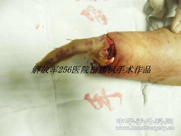 DSCF9940_副本.JPG