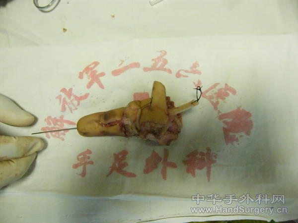 DSCF9943.JPG