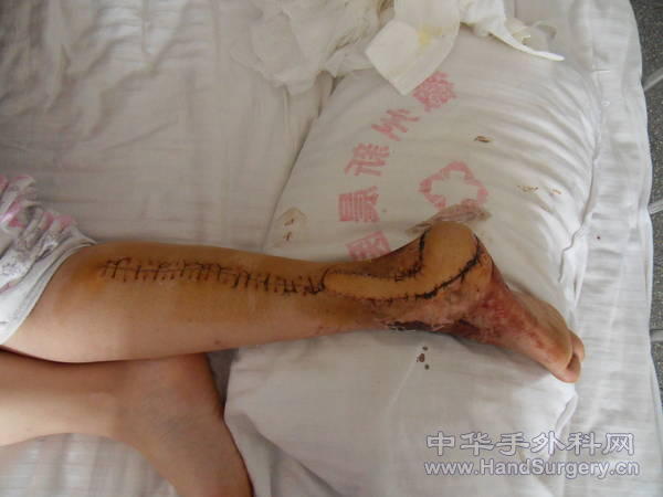 SDC10268.JPG