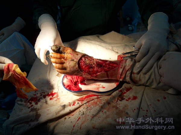 SDC10285.JPG