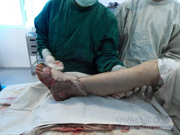 SDC10289.JPG