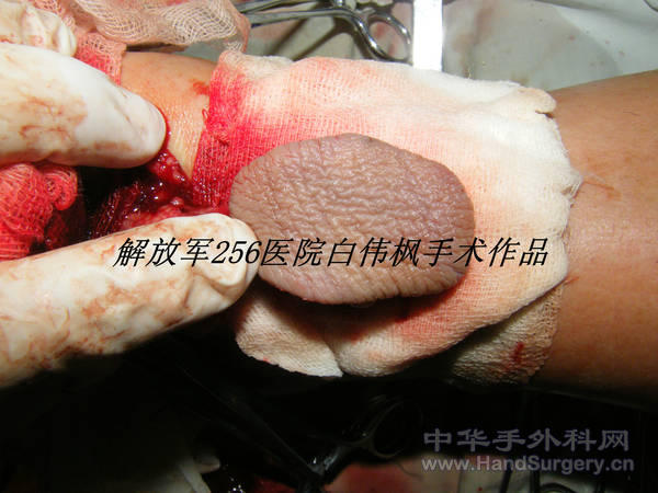 DSCF0077_副本.JPG