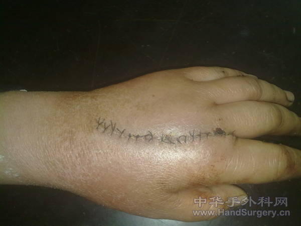 20110312850.jpg