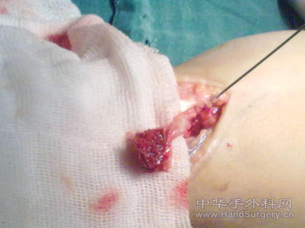 201104021445.jpg