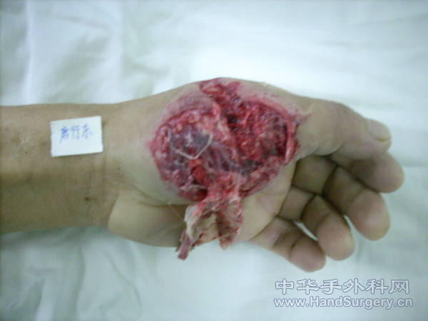 DSCN2602.JPG