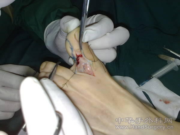 20110409941.jpg