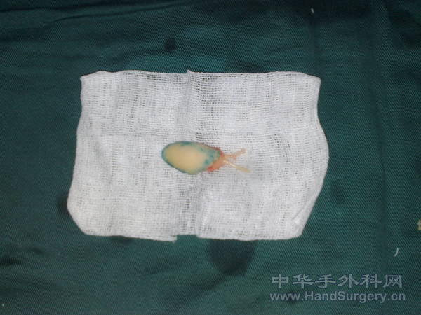 20110409949.jpg