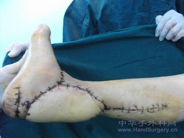 照片 218.jpg