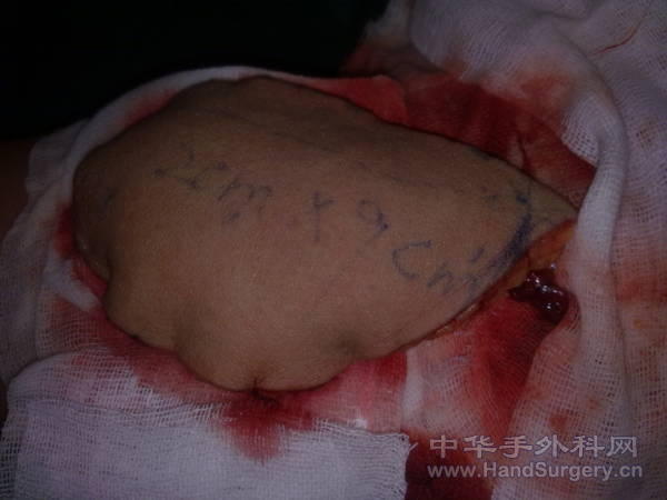 20110315103.jpg
