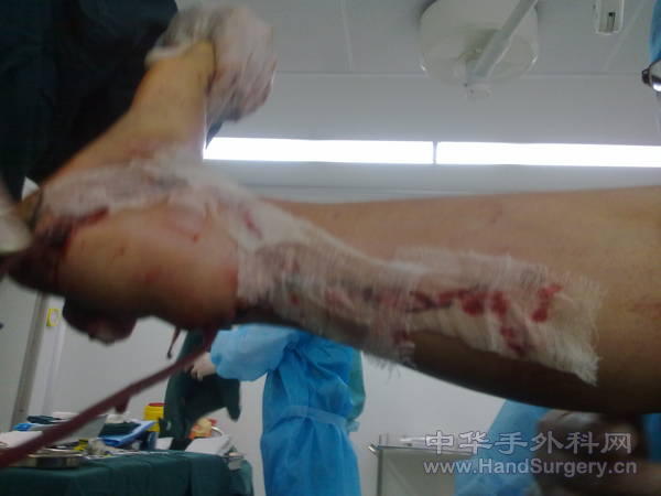 20110315108.jpg