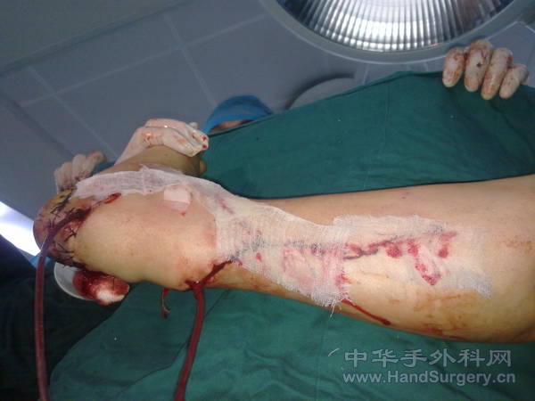 20110315109.jpg