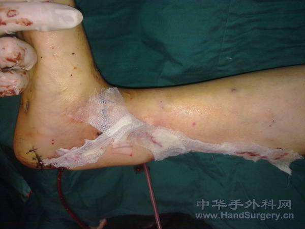 20110315110.jpg