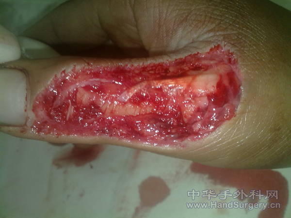 201104281057.jpg