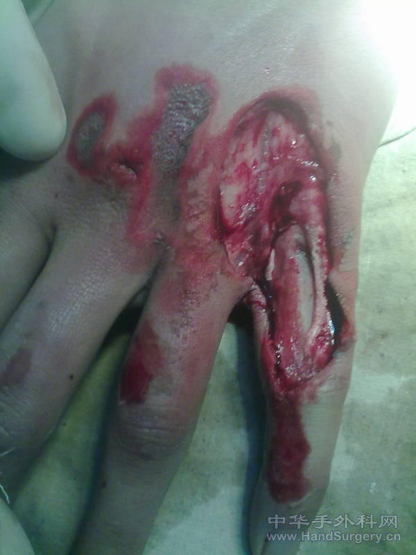 201105021082.jpg