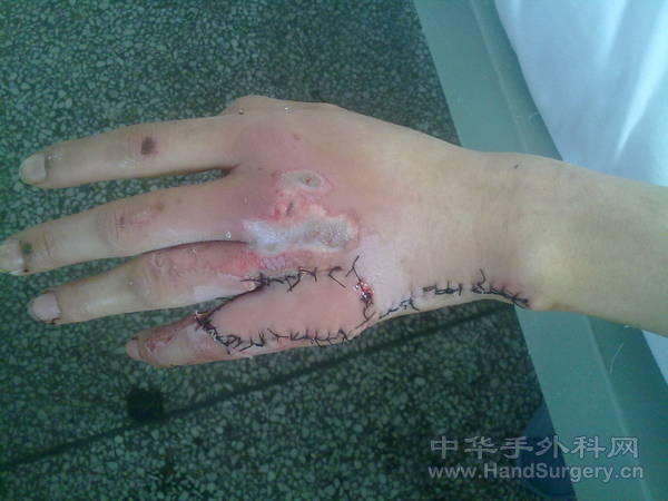 201105031088.jpg
