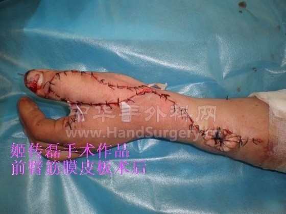 调整大小 PA170054.jpg