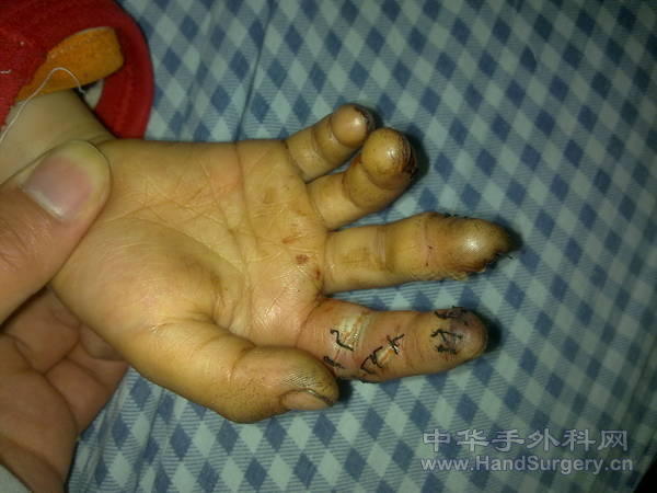 20110415189.jpg