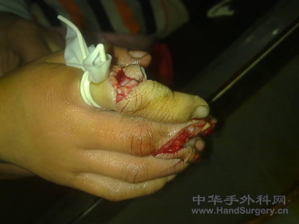 20110413187.jpg