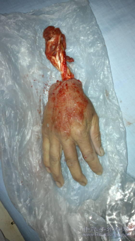 20110423250.jpg