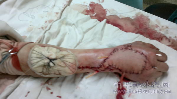20110424253.jpg