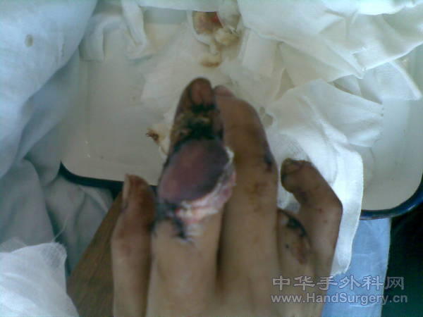 20101106.jpg
