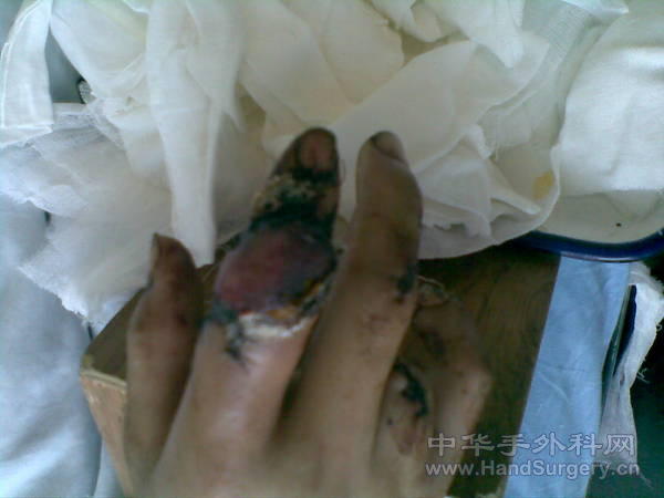 20101109.jpg