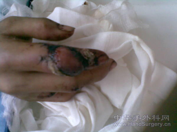 20101111(001).jpg